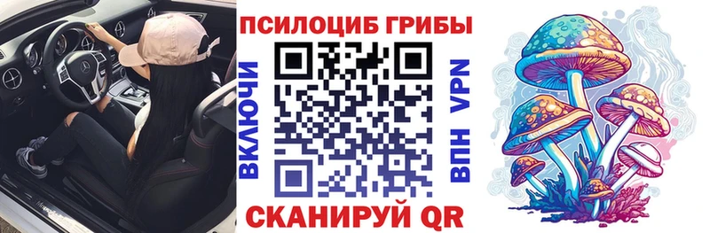 Галлюциногенные грибы Psilocybe  Шахты 